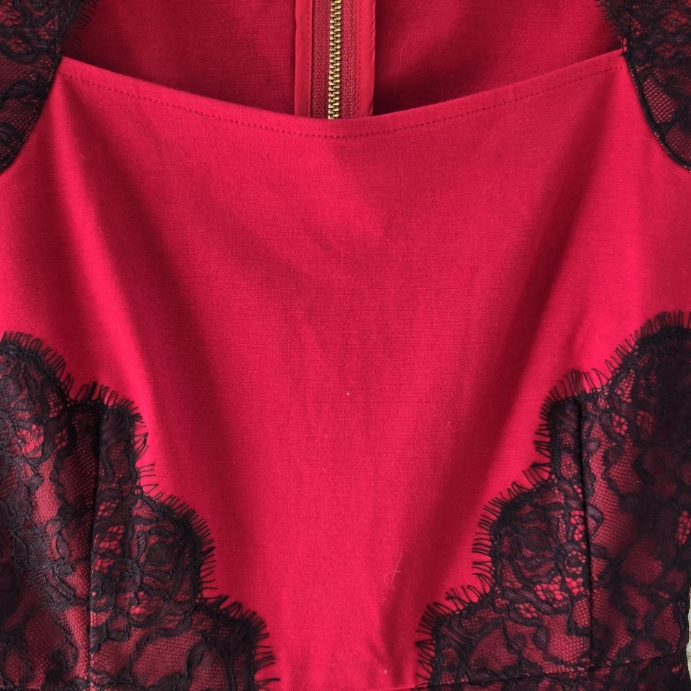 Erin Fetherston Red Black Lace Detail Sheath Dress - Picture 5 of 11